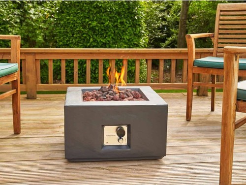 Field flame aster grey gas - &,
